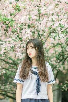 在线观看免费完整电视剧大全